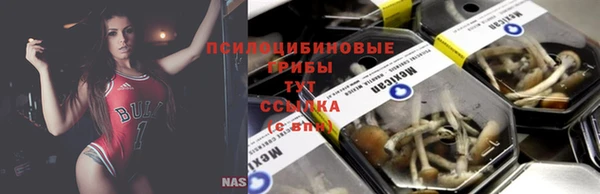 мяу мяу мука Алексеевка