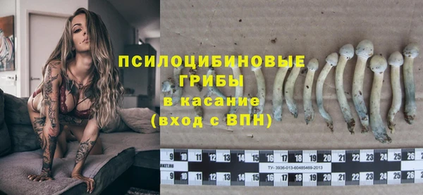 мяу мяу мука Алексеевка