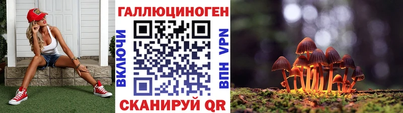 Галлюциногенные грибы Psilocybine cubensis где можно купить наркотик Ейск